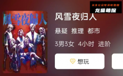 《风雪夜归人》