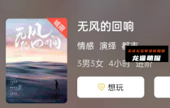 《无风的回响》