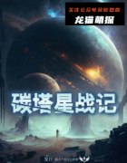 《碳塔星战记》