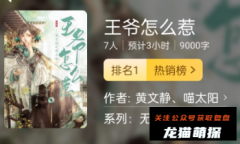 百变大侦探《王爷怎么惹》