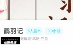 鹤羽记（我是谜）