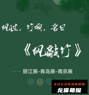 风敲竹剧本杀复盘答案