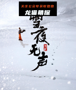 雪夜无声剧本杀复盘答案