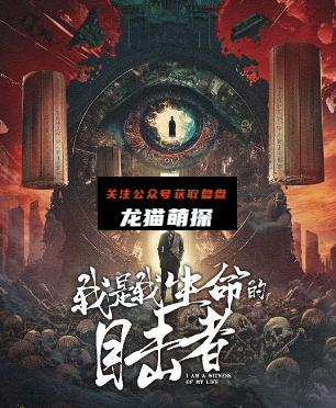 我是我生命的目击者剧本杀