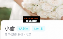 小偷（我是谜）