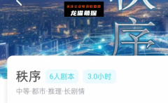 我是谜《秩序》