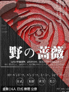 野之蔷薇