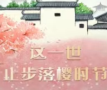 这一世，止步落樱时节/我是谜