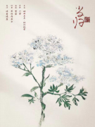 《红豆2月光》