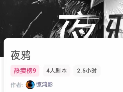 <b>夜鸦/我是谜</b>