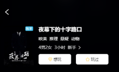 <b>夜幕下的十字路口剧本杀凶手任务剧透/剧本杀探案体验/角色C位推荐</b>