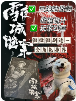 雪夜城谜案剧本杀复盘