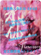新本测评:水仙