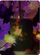 仲夏夜之梦