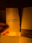 《野狗不需要墓碑》剧本杀复盘教程